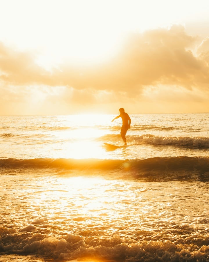 A surfer riding a small wave into a golden sunset.